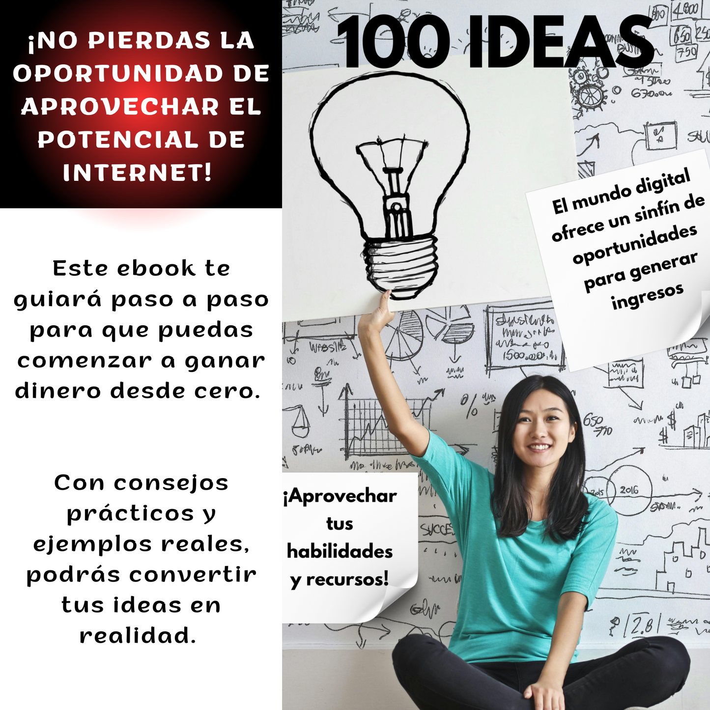 100 Ideas para GANAR Dinero con una Computadora mas Internet 2
