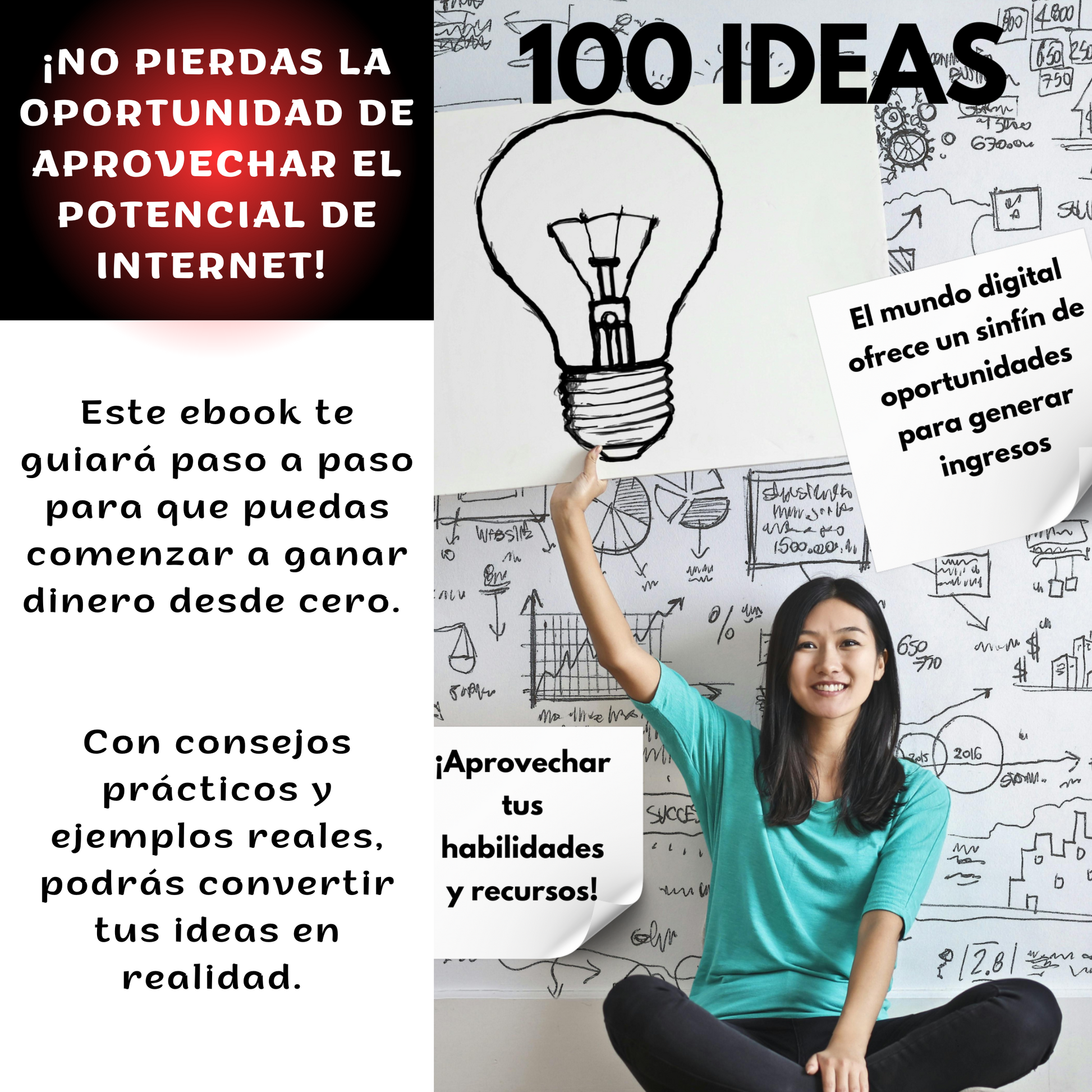 100 Ideas para GANAR Dinero con una Computadora mas Internet 2